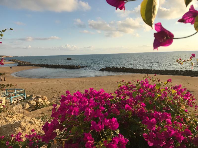 Sikelika Residence Sul Mare Scoglitti Ngoại thất bức ảnh